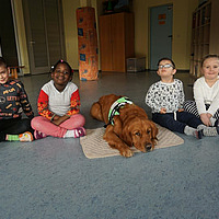 Hundeprojekt im Kindergarten Eden